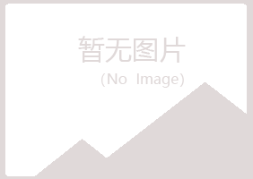 河池新波咨询有限公司